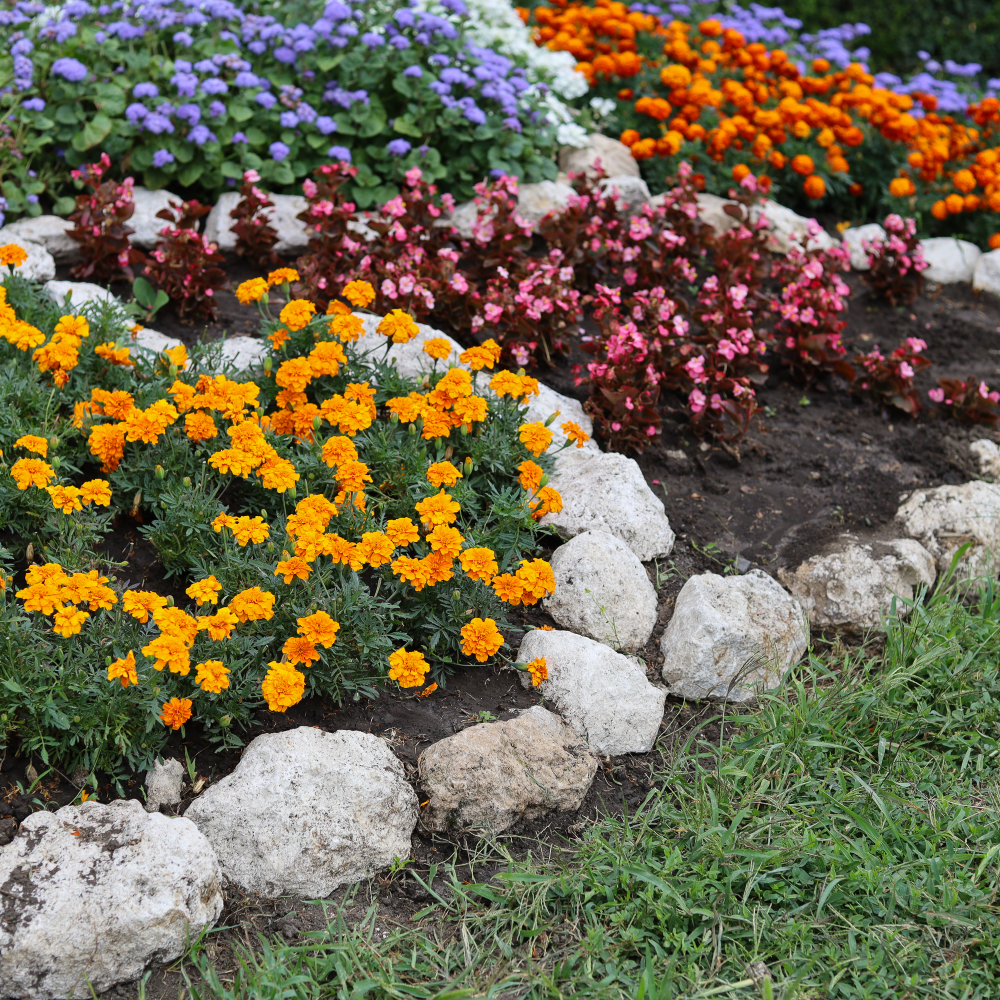 15x Low Maintenance Flower Bed Ideas for an Effortlessly Beautiful Front Yard