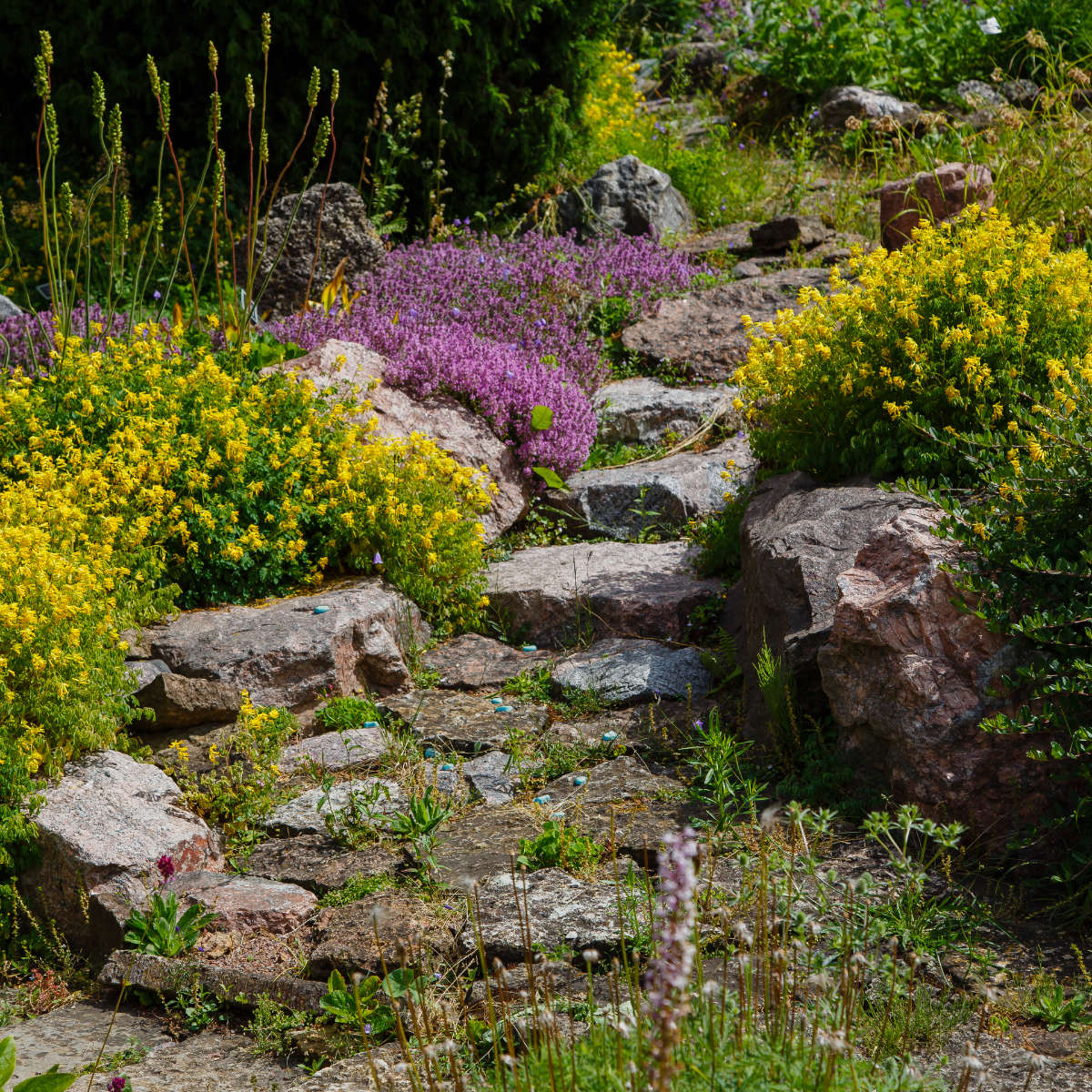 13x Rockery Garden Ideas That Look Absolutely Stunning